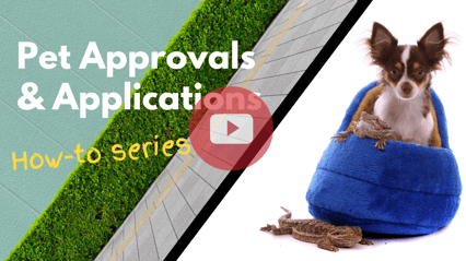 Pet Approvals – how to deal with them from both sides of the strata fence